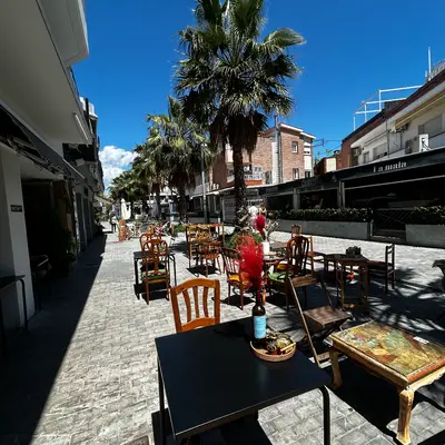 Cafè d'Especialitat -The Palm Roastery- cafe